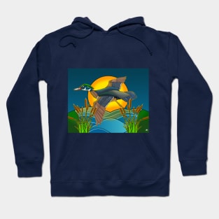 Sunset Landing Hoodie